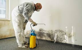 Best Mold Prevention Services  in Gulfport, FL